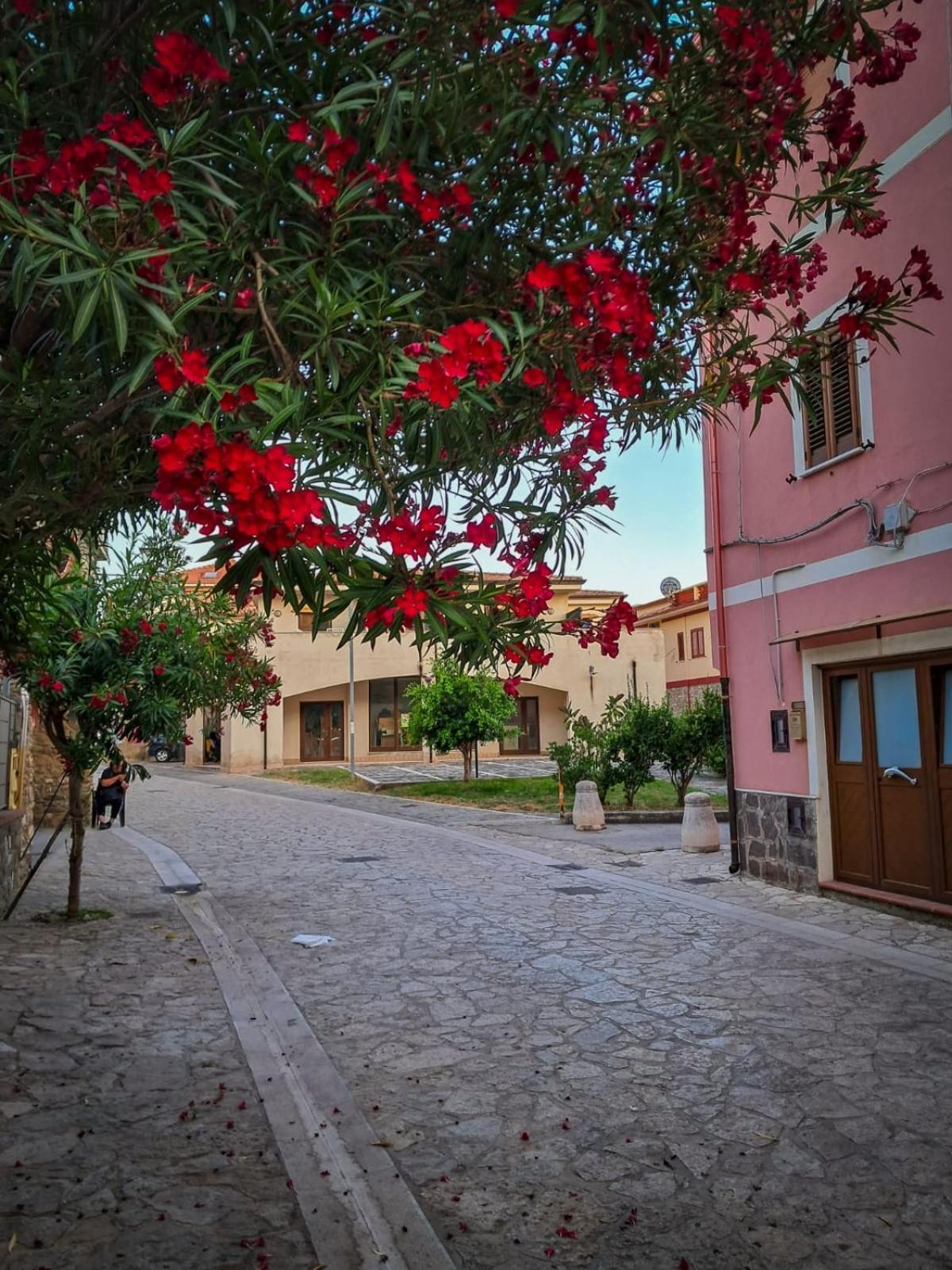 Appartamento La Coffa Agnone Cilento Exteriör bild